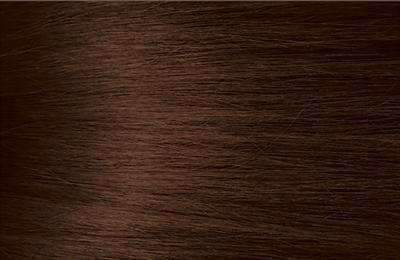 Bigen Semi Permanent Hair Color - C2 Chocolate - Beautiful Black Hair