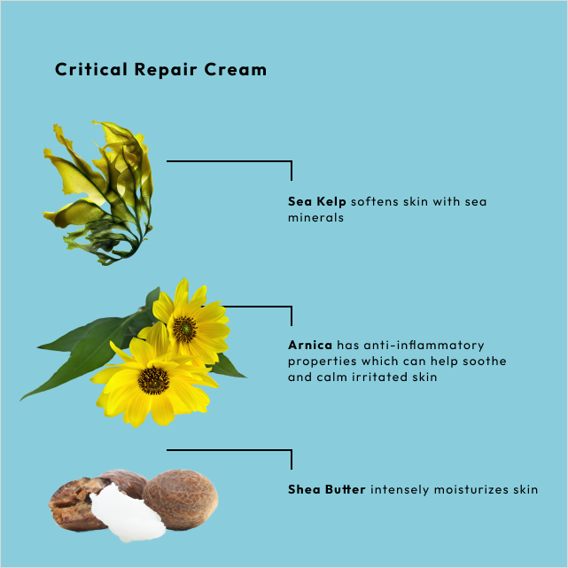 BCL Sea Kelp Critical Repair Cream