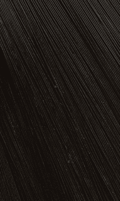 Bigen Speedy Hair Color - Natural Black(N)