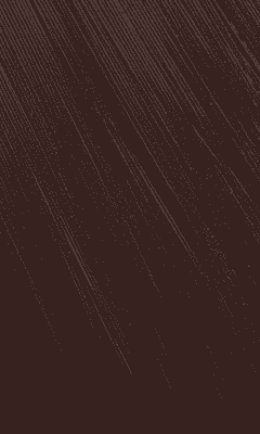 Bigen Speedy Hair Color - Brown Black (S) - Beautiful Black Hair