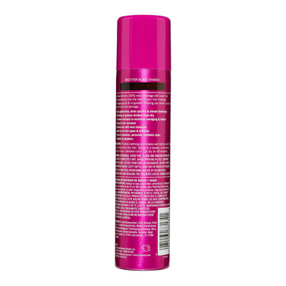 EverPro Gray Away Instant Root Cover Up Spray - Black