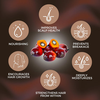 AllDay Locks Batana Hair & Scalp Conditioner