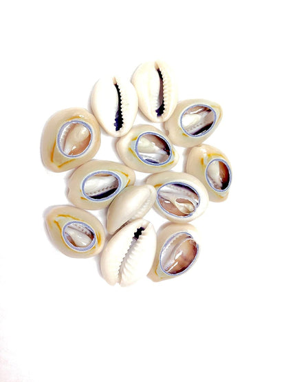 144 Magic Gold Shell Beads - Small Dark Ivory #7000