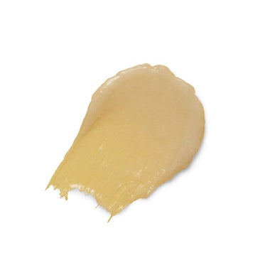 Burt's Bees Overnight Intensive Lip Treatment