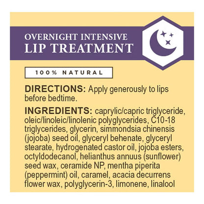 Burt's Bees Overnight Intensive Lip Treatment