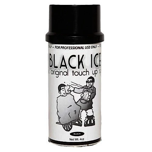 Black Ice Original Touch Up Spray - Beautiful Black Hair