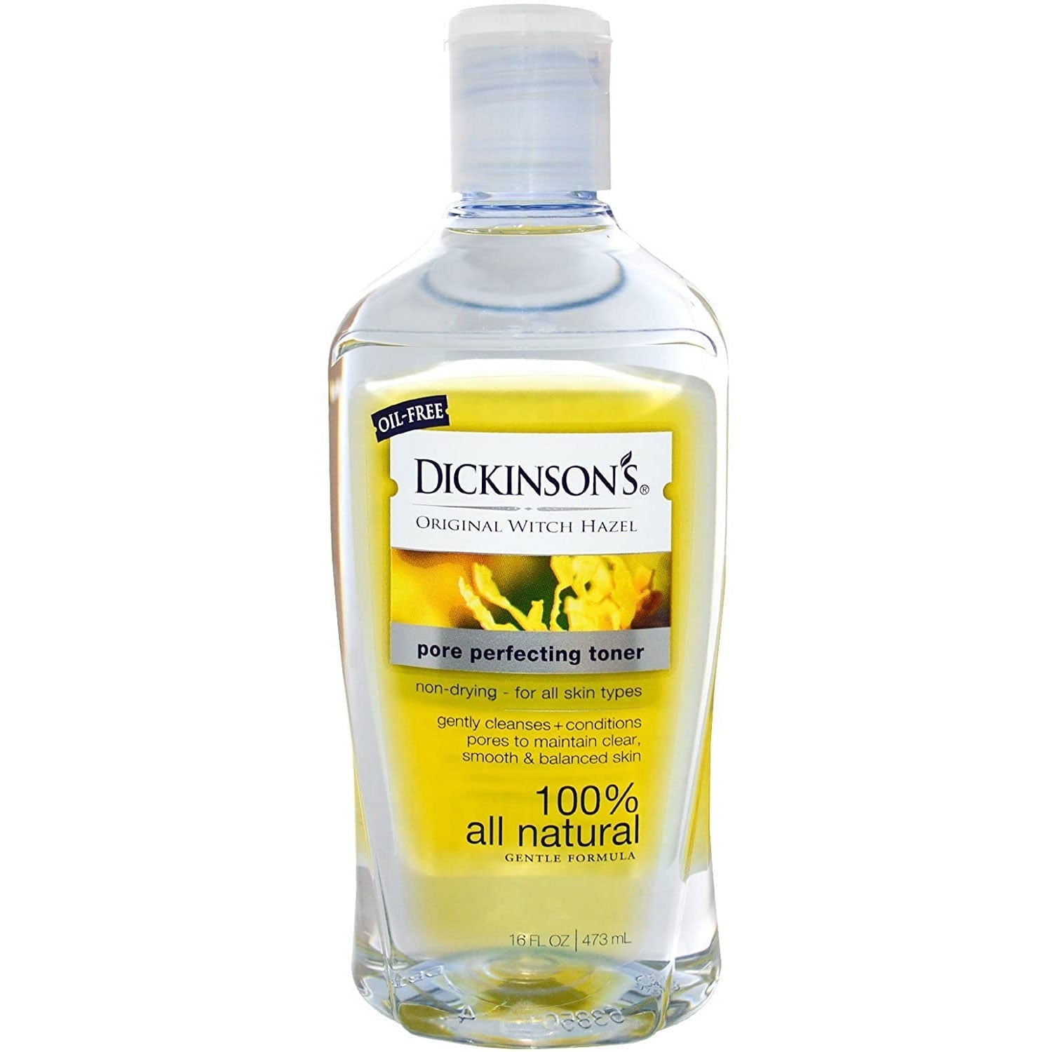 T.N. Dickinson's Original Witch Hazel Pore Perfecting Toner