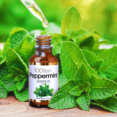 Touch Down 100% Pure & Natural Essential Oil - Peppermint