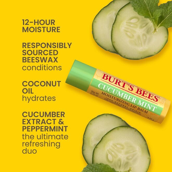 Burt's Bees Cucumber Mint Lip Balm