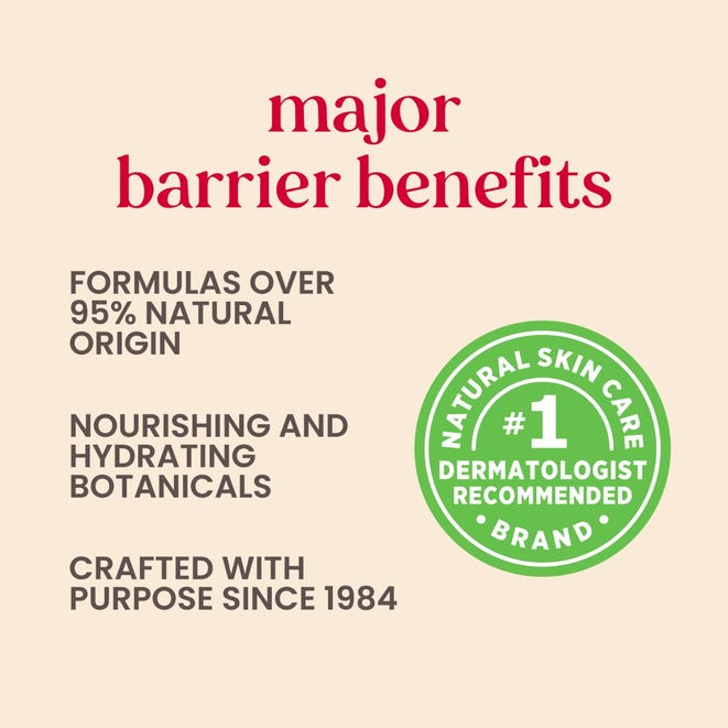 Burt's Bees Cucumber Mint Lip Balm