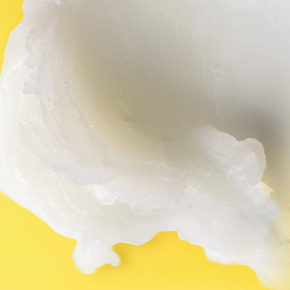 Burt's Bees Shea + Cocoa Butter Moisturizing Lip Balm